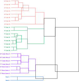 树形图和距离聚类分析