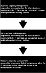 Capacity Management Responsibilities