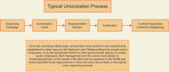 Typical Unionization Process