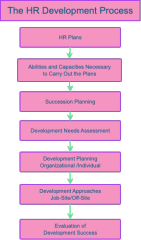 HR Development Process