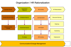 Organization / HR Rationalization