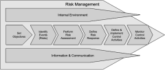 Enterprise risk management process