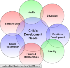 Child's Development Needs