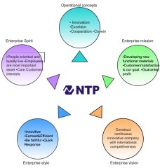 NTP Vision(New)